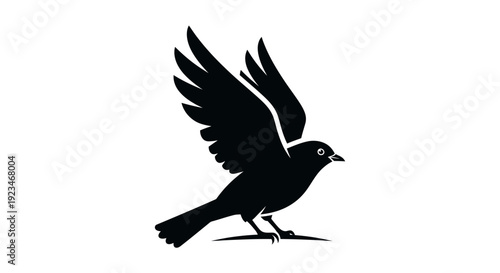 Black bird in mid flight motion.