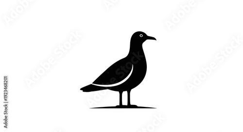 Black silhouette of a seagull standing.