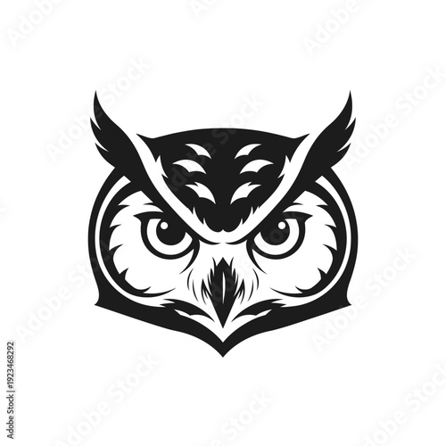Owl Face Closeup Black White Illustration.