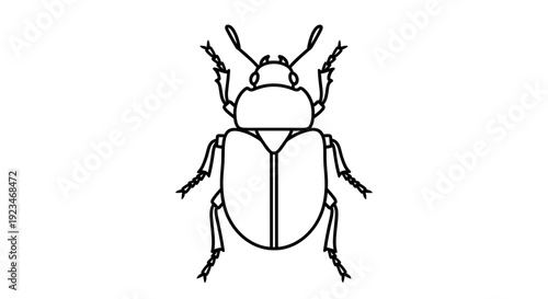 Detailed illustration of a beetle insect.
