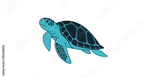 Sea turtle swimming in ocean water.