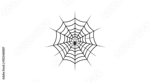 Spider web close up detail.