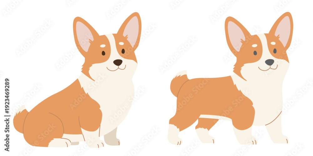 Fototapeta premium Standing and sitting brown corgi dog, side view. Flat color vector illustration isolated on a white background