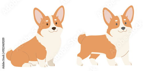 Standing and sitting brown corgi dog, side view. Flat color vector illustration isolated on a white background