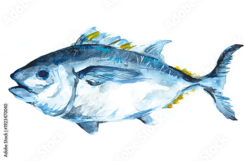 マグロの水彩イラスト素材