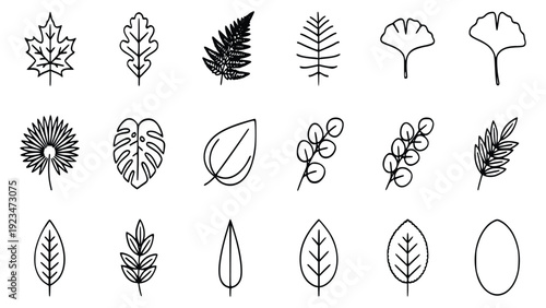 Collection of various black and white illustrations of leaves from different plants and trees showcasing diverse shapes and structures in a simple and elegant design concept.