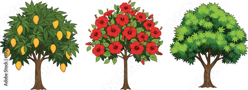 Set of mango tree, flowering hibiscus tree, and lush green leafy tree isolated on white background, detailed botanical vector illustration collection