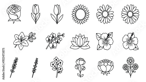 Collection of elegant black line drawings featuring various beautiful flowers including rose, tulip, and sunflower, on a plain white background, perfect for decorative and design purposes.