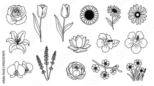 Collection of simple black and white line drawings featuring various flowers including roses, tulips, and lilies on a plain white background for design use.