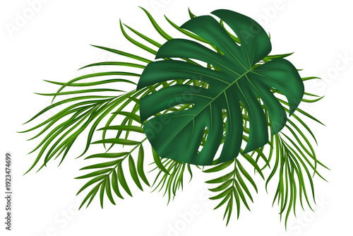 Realistic tropical foliage with exotic monstera and coconut fronds. Vibrant jungle greenery for Hawaiian summer party invitations and paradise designs. Vector illustration