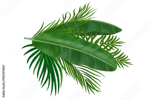 Green tropical leaves with palm fronds and banana plants. Vibrant jungle greenery for summer party invitations and travel designs. Vector illustration