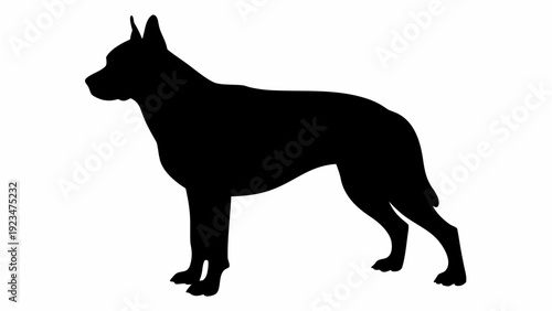 Majestic Great Dane standing proudly in profile view