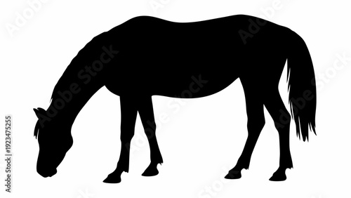 Majestic horse silhouette grazing peacefully alone
