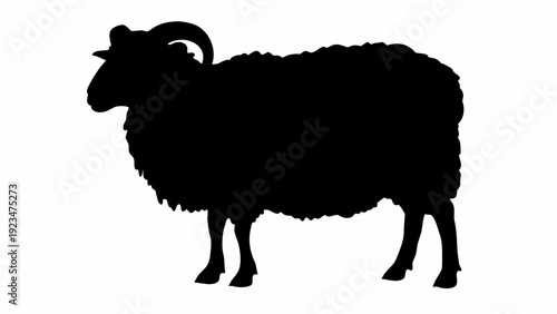 Majestic ram standing proudly with curved horns and fluffy coat