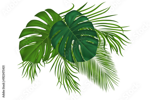 Tropical palm leaves bouquet. Lush foliage create exotic jungle atmosphere. Realistic green fronds with monstera plants form natural botanical frame for summer designs. Vector illustration