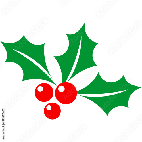 Holly Leaf With Berries