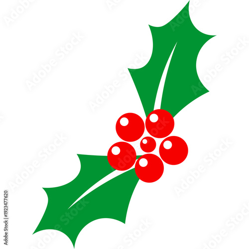 Holly Leaf With Berries