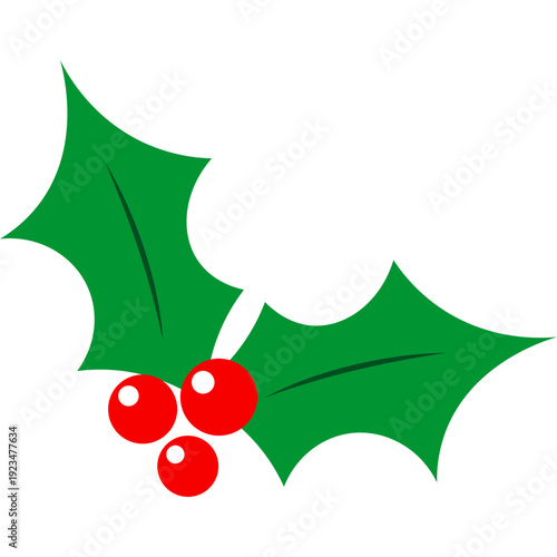 Holly Leaf With Berries