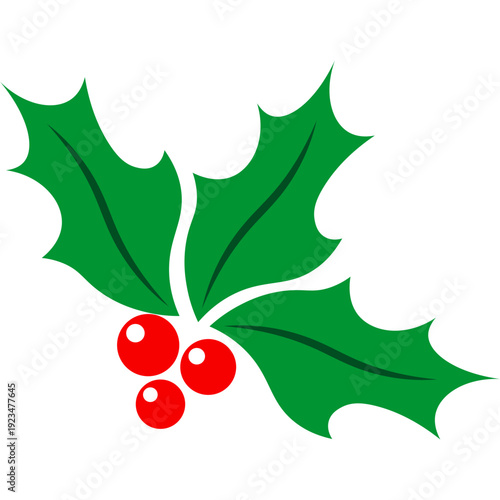 Holly Leaf With Berries
