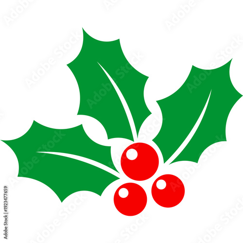 Holly Leaf With Berries