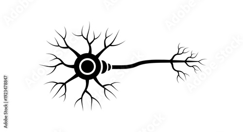 Photos Neuron cell with dendrites and axon.