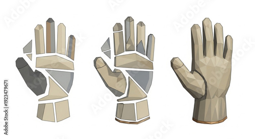 Tactical Gloves Various Views Display.