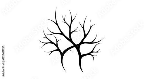 Black silhouette of bare tree branches.