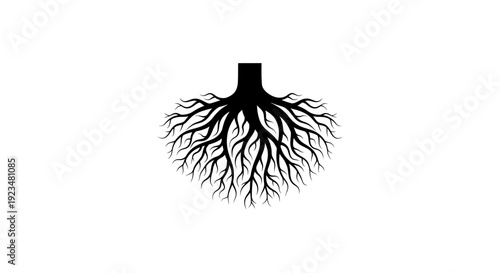 Black silhouette of tree roots underground.