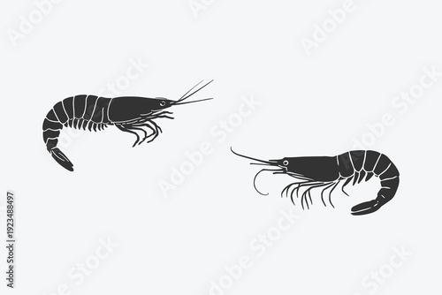 Shrimp Prawn Silhouette Vector Illustration