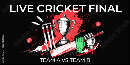 A vector graphic illustration of a live cricket final match with a trophy, bats, and balls