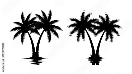 Two black silhouette palm tree illustrations with water reflections isolated on white background