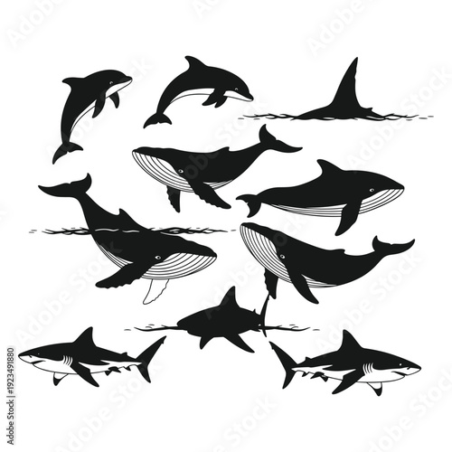Black and white whale and shark marine life swimming underwater vector illustration flat design scalable art