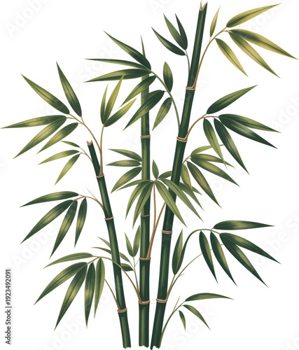Lush green bamboo plant illustration with multiple stalks and vibrant leaves, depicting a serene natural element or decorative foliage, perfect for various design projects