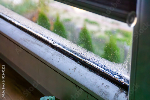Foggy window glass with water droplets, condensation problem in house interior, close up on moisture on glass pane, leaky windows and thermal insulation, garden view through mist.