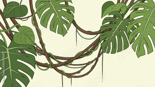 Detailed close-up of green monstera leaves and tangled jungle vines provides a natural and wild aesthetic for tropical themed designs.