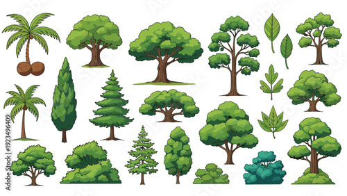 Diverse collection of green trees, palm trees, pine trees, bushes, and various green leaf types isolated on a white background.