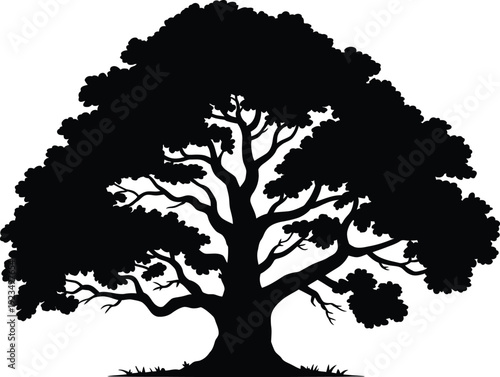 Oak tree silhouette, large forest plant with green leaves and roots vector illustration