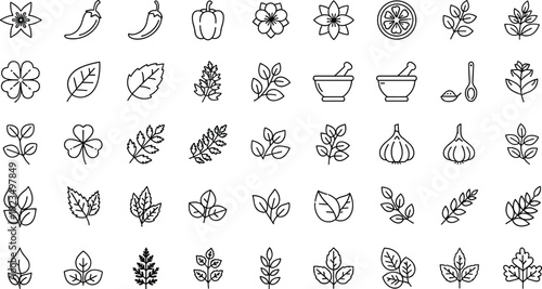 Herb and Spice Icon Set Vector with Leaves, Flowers, Chili, Garlic, and Mortar & Pestle
