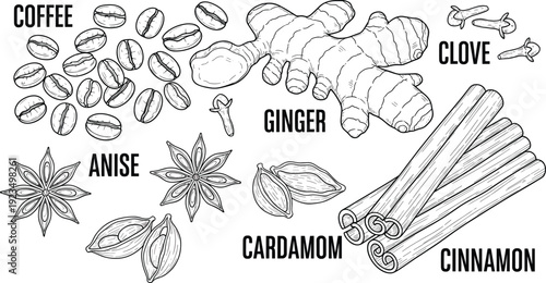 Spice Ingredients Vector Set with Coffee, Ginger, Cloves, Cinnamon, Anise, and Cardamom