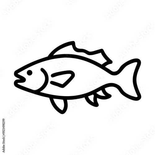 fish barramundi icon