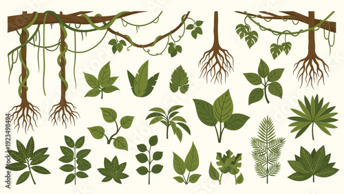 Collection of tropical jungle plants featuring various leaves, vines, and roots isolated on a light background for nature and forest designs.
