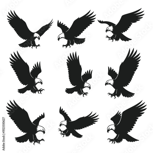 Bald eagles flying in formation vector illustration, majestic birds of prey in dynamic motion flat design