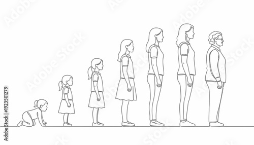 Female Life Stages Aging Timeline Line Art