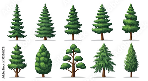 Collection of various green trees and foliage illustrations.