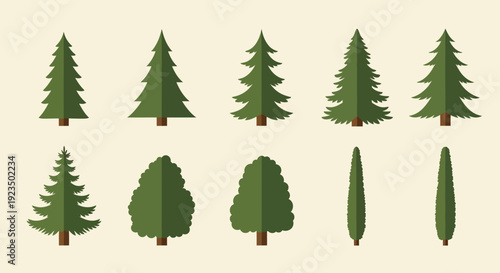 Collection of Various Evergreen Tree Illustrations.