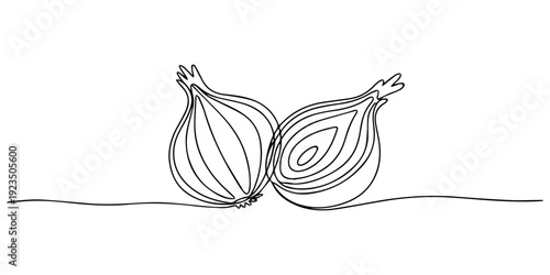 onion and cross section continuous one line drawing, Continuous line drawing of a whole onion with shoots and a detailed cross section Vector, illustration, Continuous line art illustration of onions.