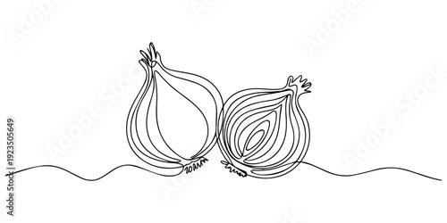 onion and cross section continuous one line drawing, Continuous line drawing of a whole onion with shoots and a detailed cross section Vector, illustration, Continuous line art illustration of onions.