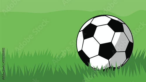 Soccer ball on turf for equipment listing