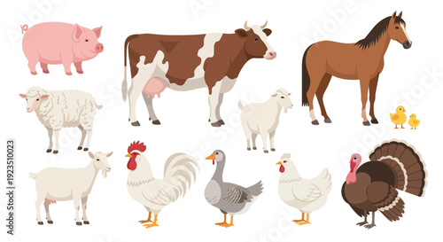 Collection of various common domestic farm animals displayed together against a clean white background
