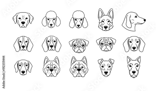 Hand drawn dog head outline icon set vector